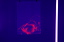 dn-0013-6977