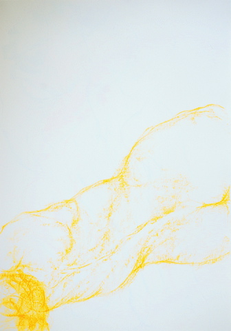 dn-0011-5166-a.jpg