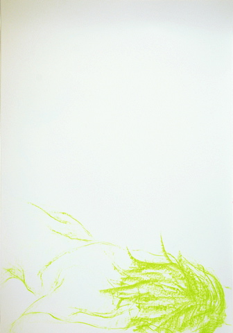 dn-0011-5248-a.jpg