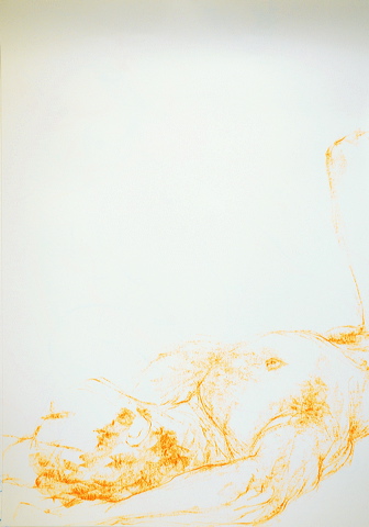 dn-0011-5303-a.jpg