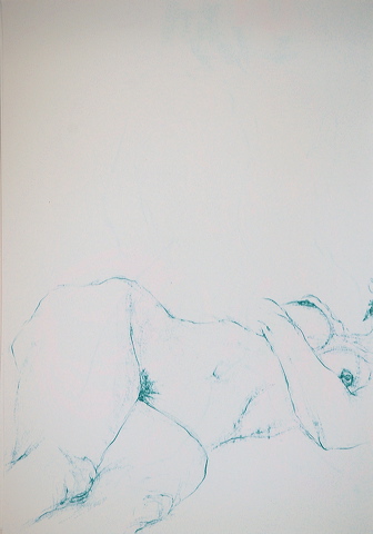 dn-0011-5321-a.jpg