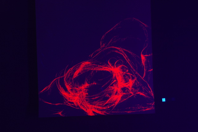 dn-0012-5453-b.jpg