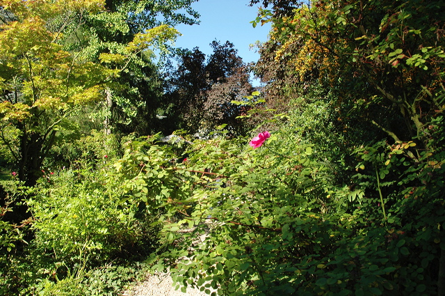 dn-0013-2509.jpg