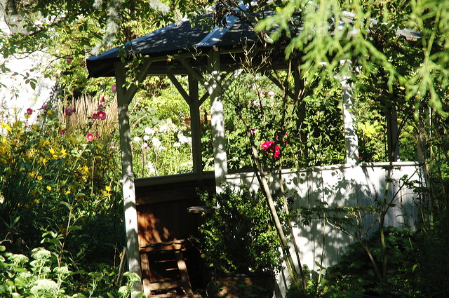 dn-0013-2515.jpg