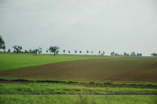 dn-0013-6307.jpg