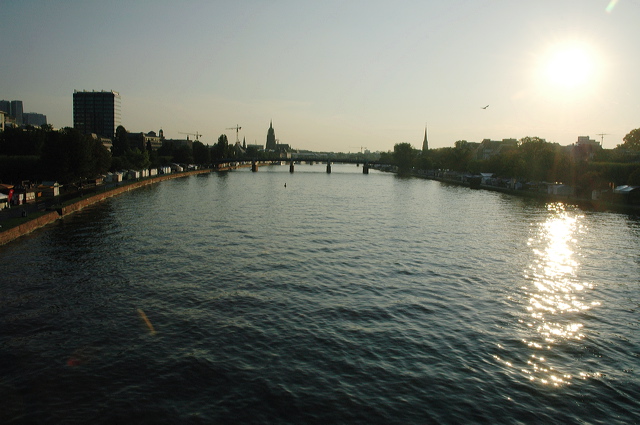 dn-0013-3513.jpg