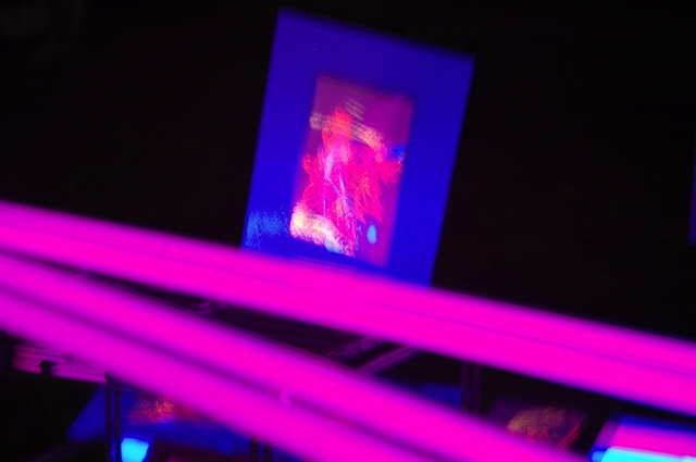 dn-0013-3730.jpg