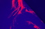 dn-0013-7269