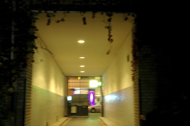 dn-0013-7244.jpg