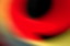 dn-0009-7736