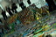 dn-0009-7961
