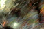 dn-0009-8040