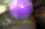 dn-0009-8043