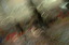 dn-0009-8061