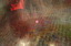 dn-0009-8064
