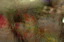 dn-0009-8098