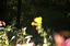 dn-0009-8302