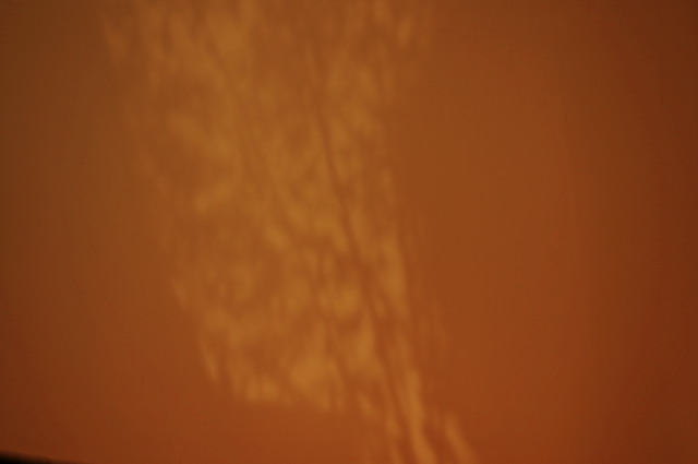 dn-0009-7543.jpg