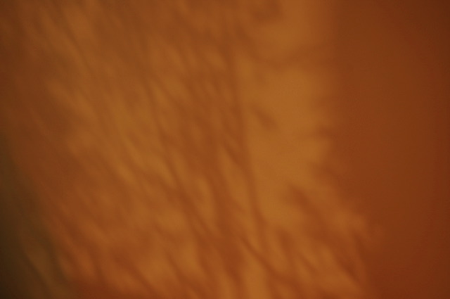 dn-0009-7545.jpg