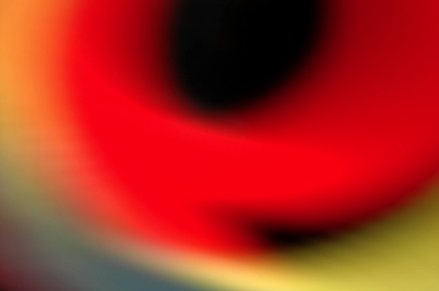 dn-0009-7736.jpg