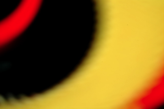 dn-0009-7737.jpg