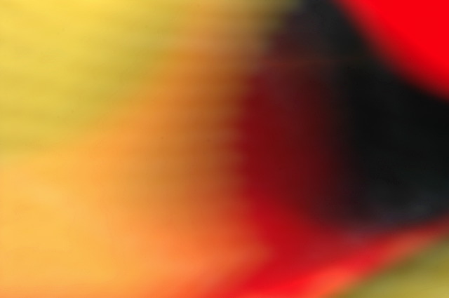 dn-0009-7738.jpg