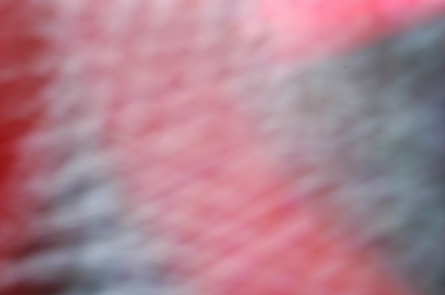 dn-0009-7743.jpg