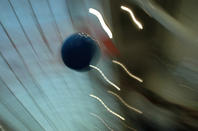dn-0009-8005.jpg