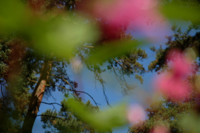 dn-0009-8238.jpg