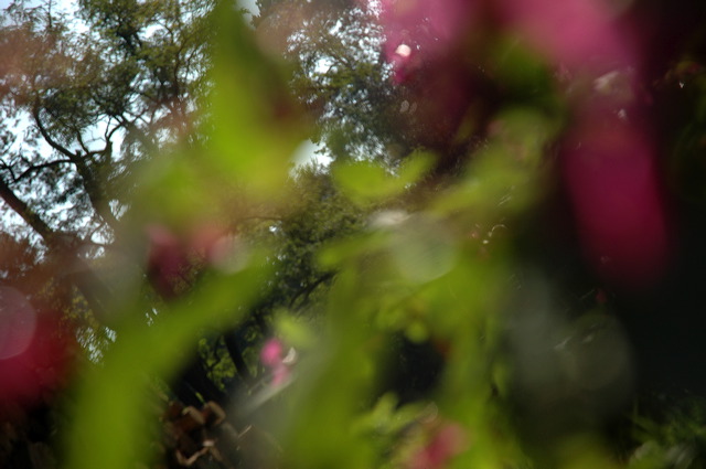 dn-0009-8263.jpg
